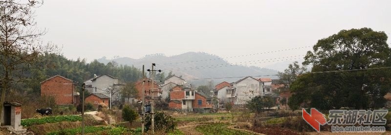 武穴市梅川镇杨垸村