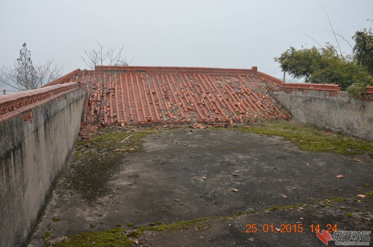 DSC_4098.jpg