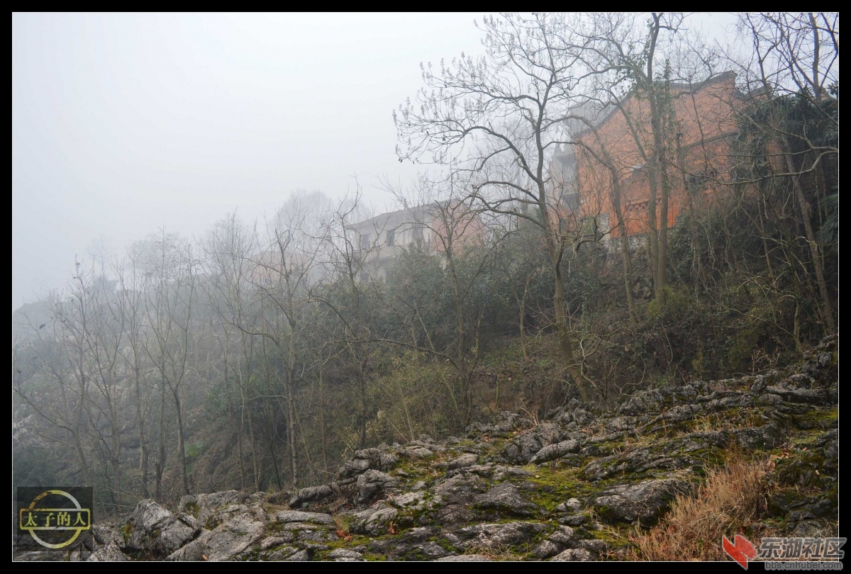 DSC_1152.JPG
