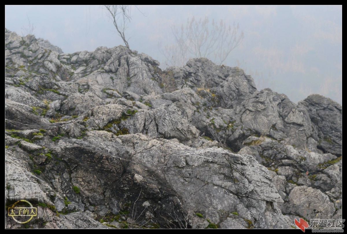 DSC_1166.JPG
