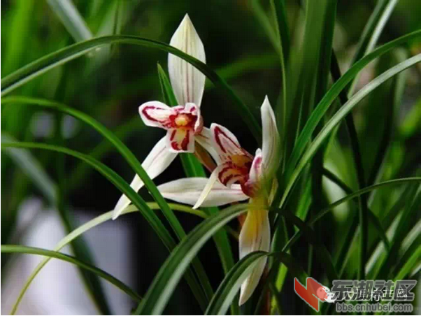 QQ图片20150126141138.png