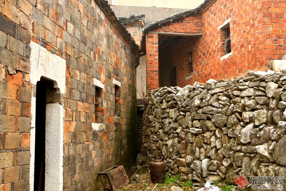 IMG_3420.JPG