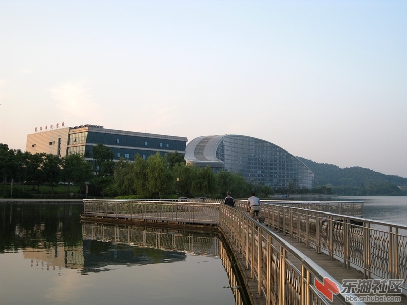 06.jpg