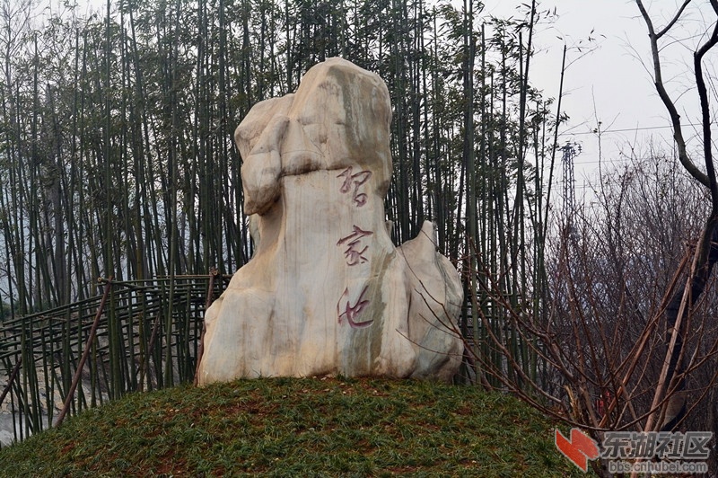 DSC_1595.jpg