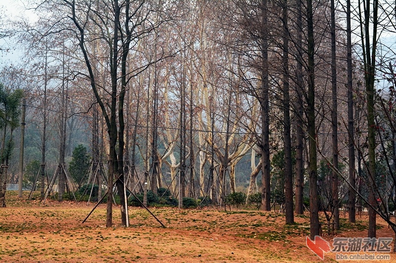 DSC_1577.jpg