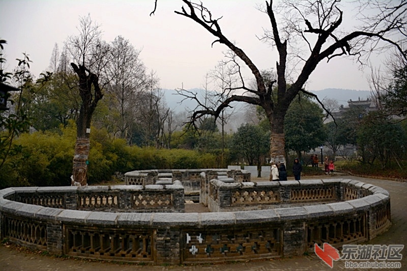 DSC_1446.jpg