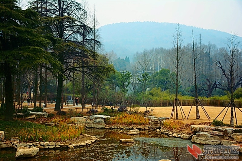 DSC_1429.jpg