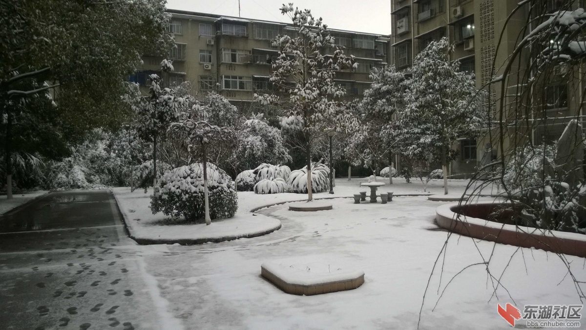 WP_20150128_002.jpg