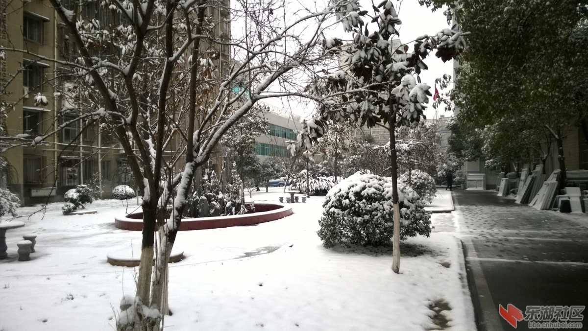 WP_20150128_003.jpg
