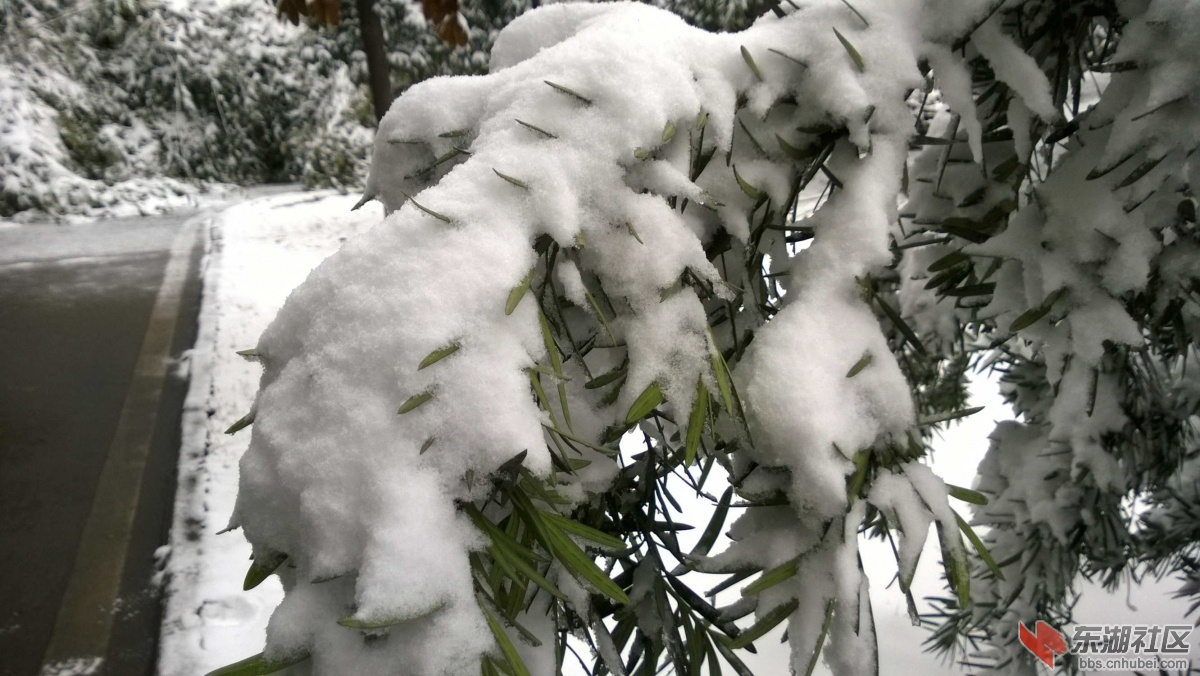 WP_20150128_008.jpg