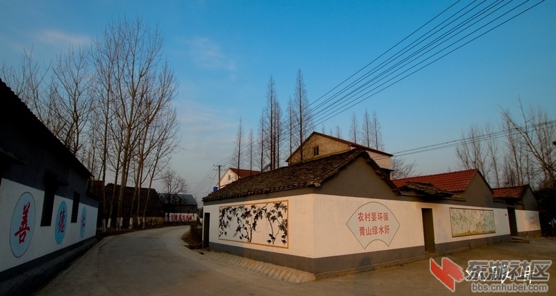 IMG_5991.jpg