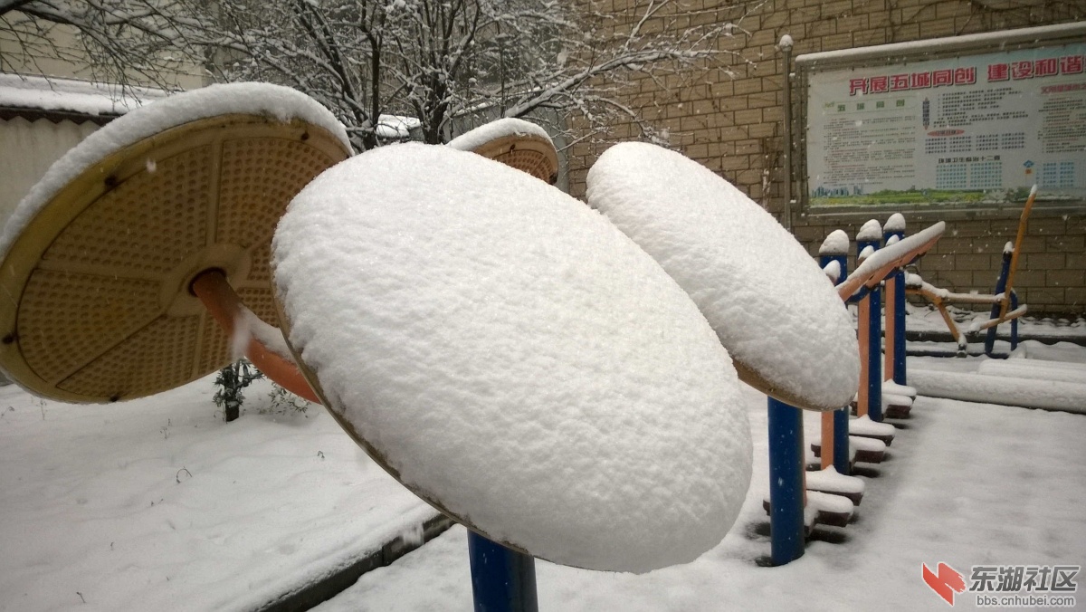 WP_20150128_012.jpg
