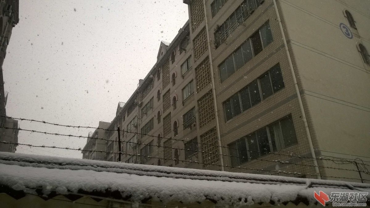 WP_20150128_013.jpg
