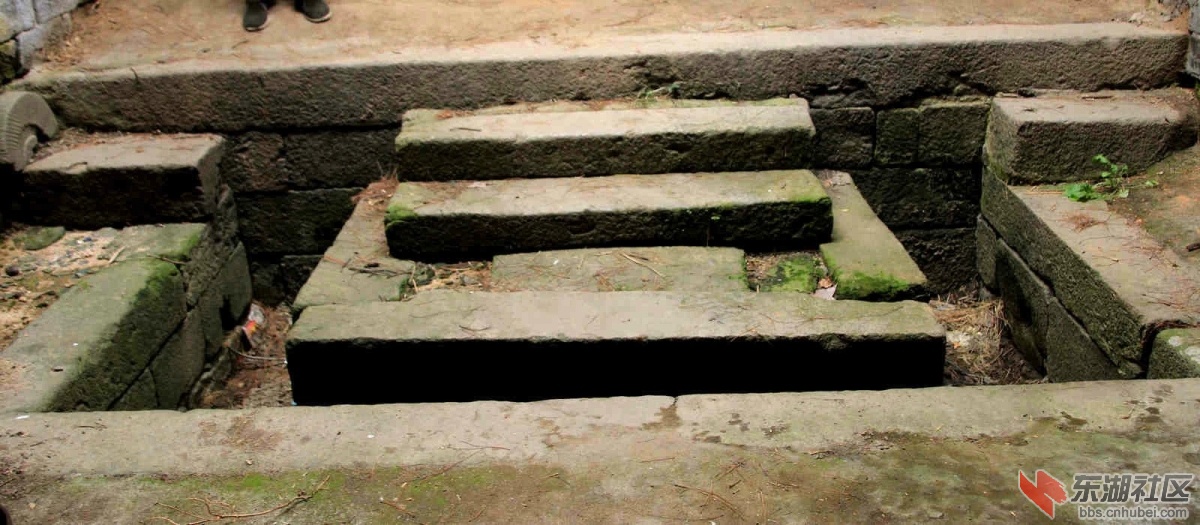 psb111.jpg