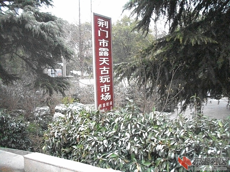 ALIM0417_副本.jpg