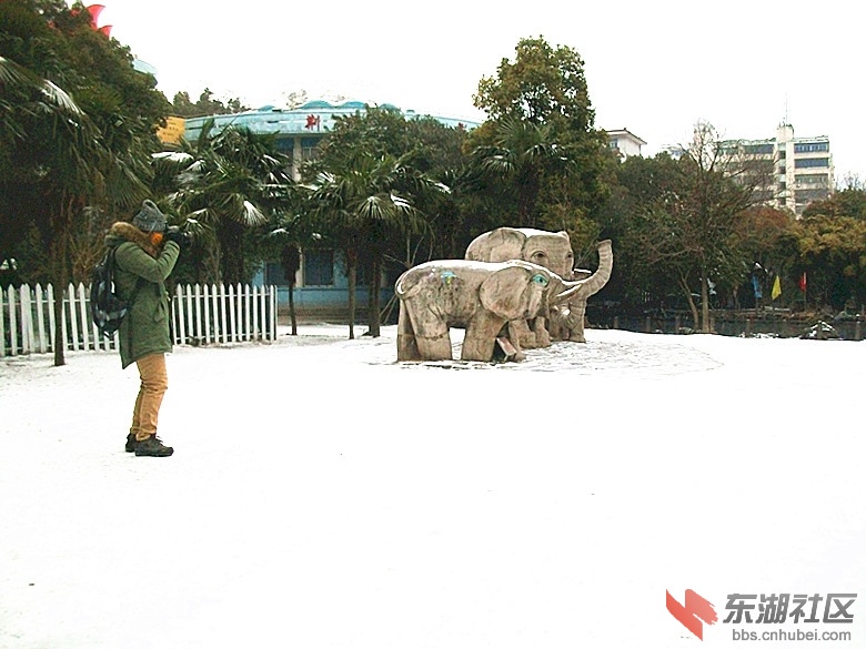 ALIM0445_副本.jpg