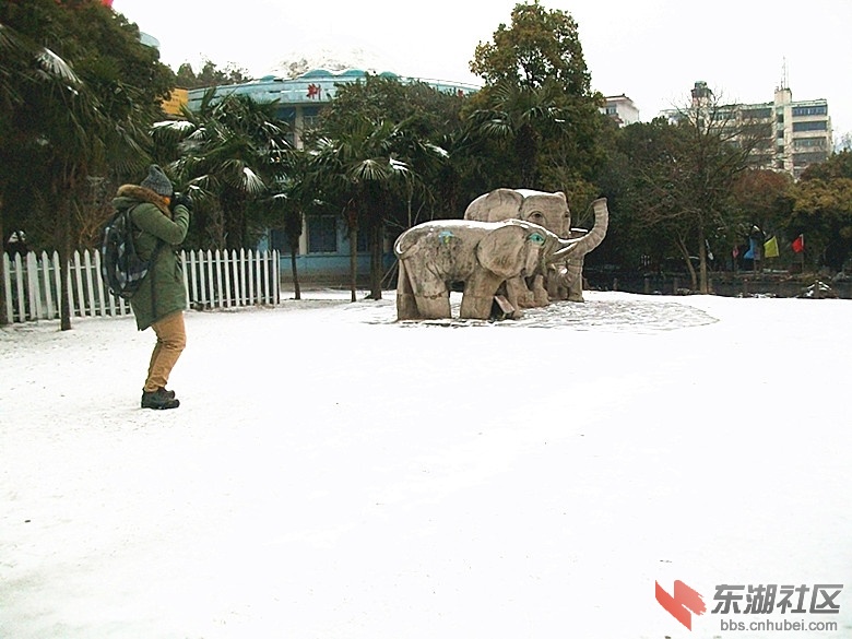 ALIM0447_副本.jpg