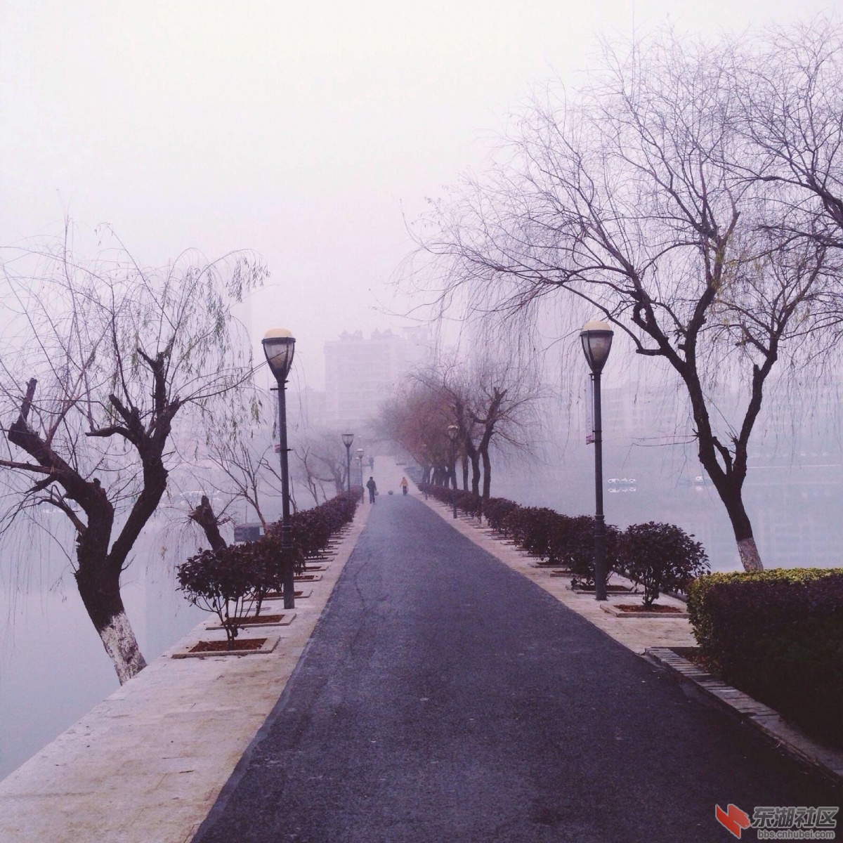 img-d8fb24d5331e0695b3f4cefada6c86dc.jpg