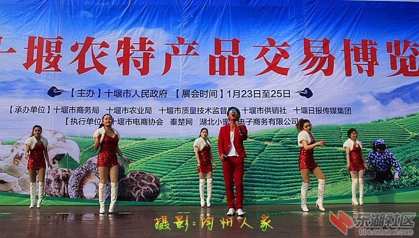 8713.jpg