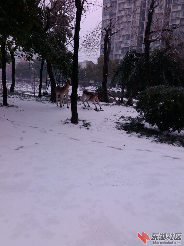 QQ图片20150129103302.jpg