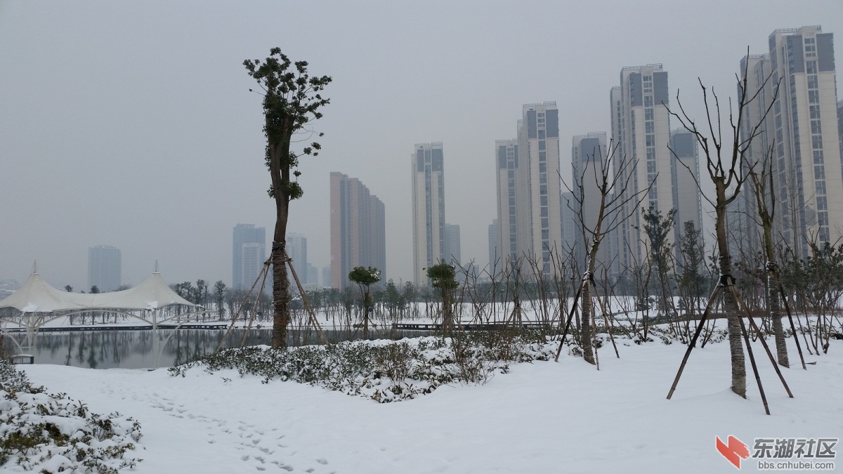 20150129_123349.jpg