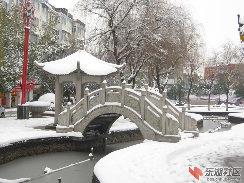 2015广场文庙下雪了.jpg