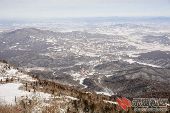 11我国的林海雪原.jpg