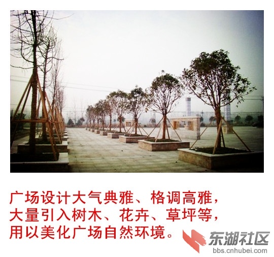 2015112112027913_副本.jpg