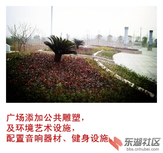 2015112112037580_副本.jpg