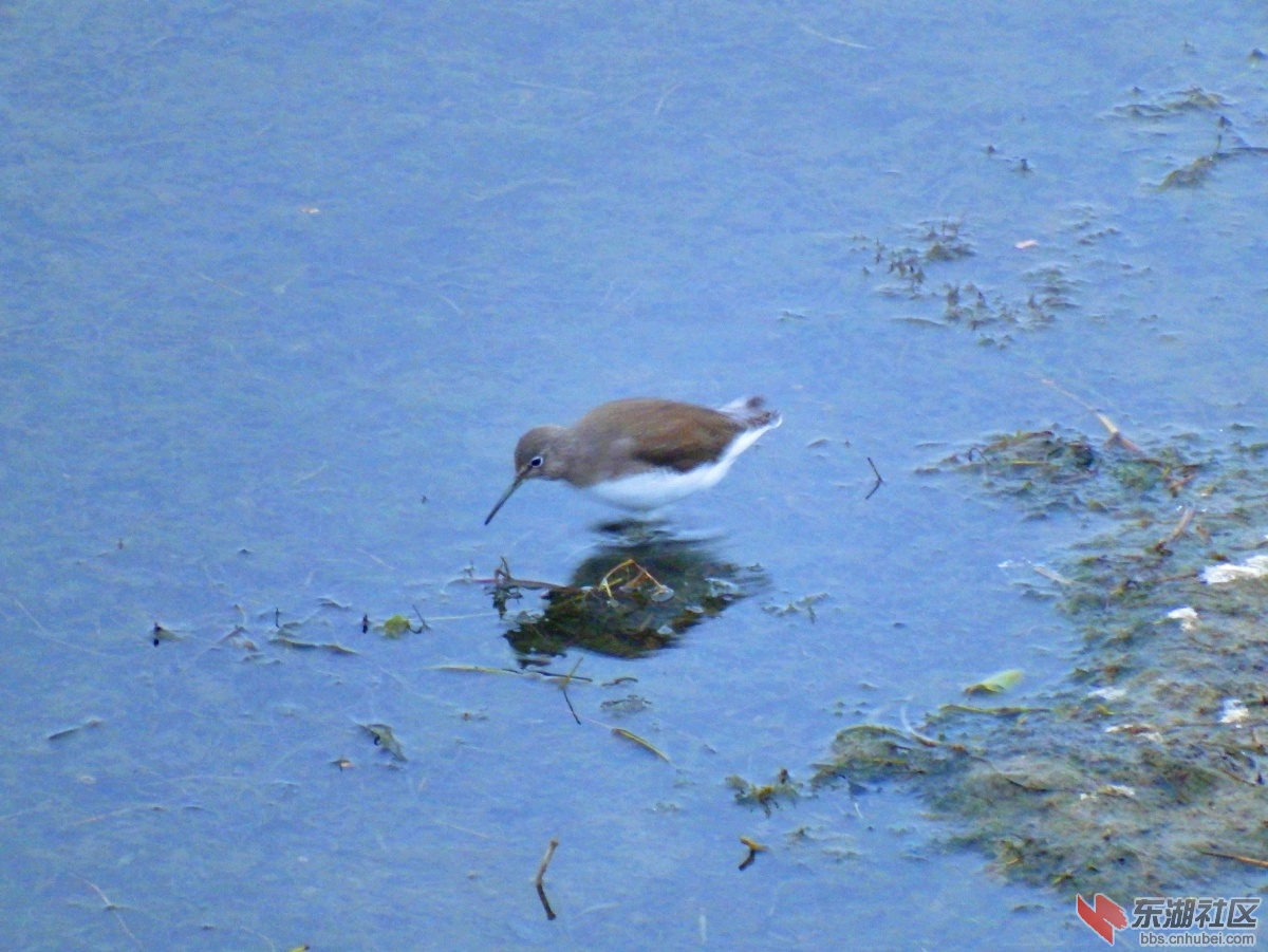 DSCF0115_副本.jpg