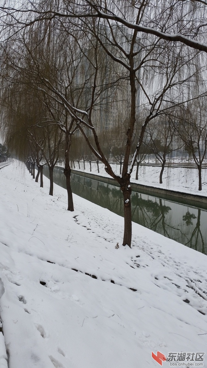 20150130_123345.jpg