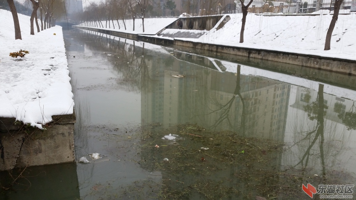 20150130_124055.jpg