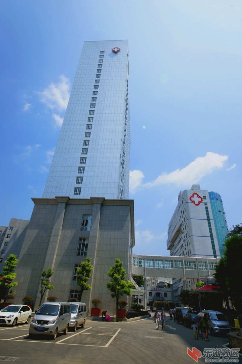 第六届医院文化节摄影作品展32.jpg