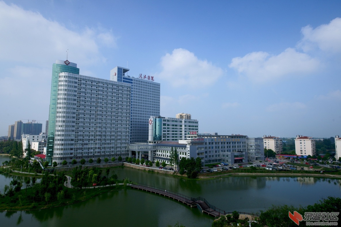 汪新琦05415ps.jpg
