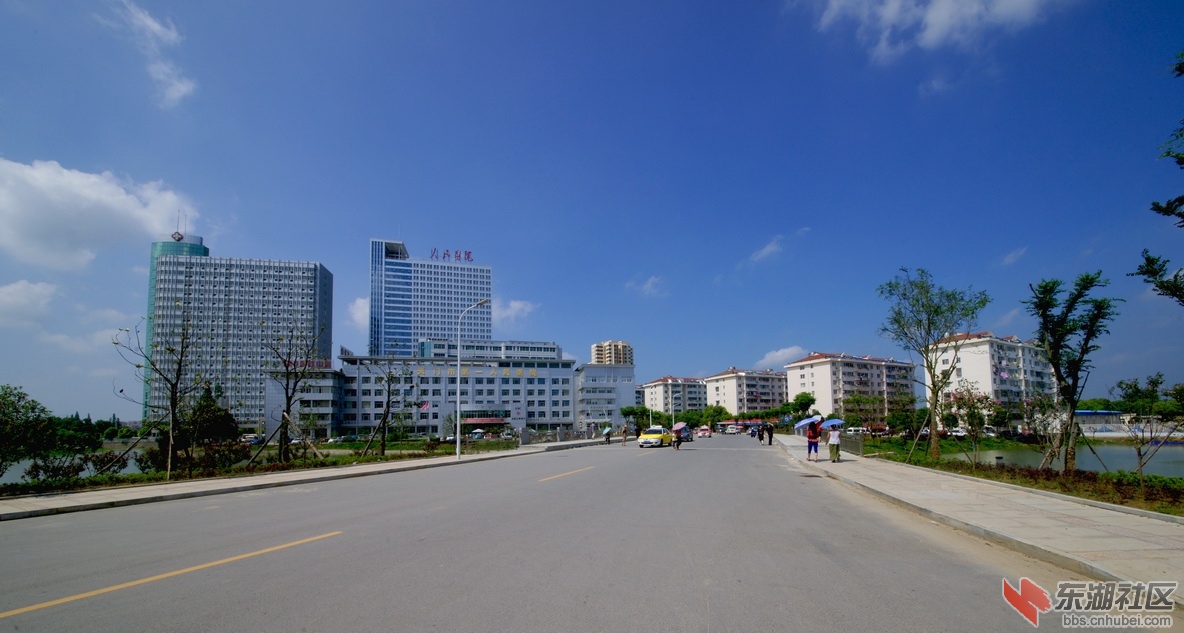 汪新琦05723.jpg
