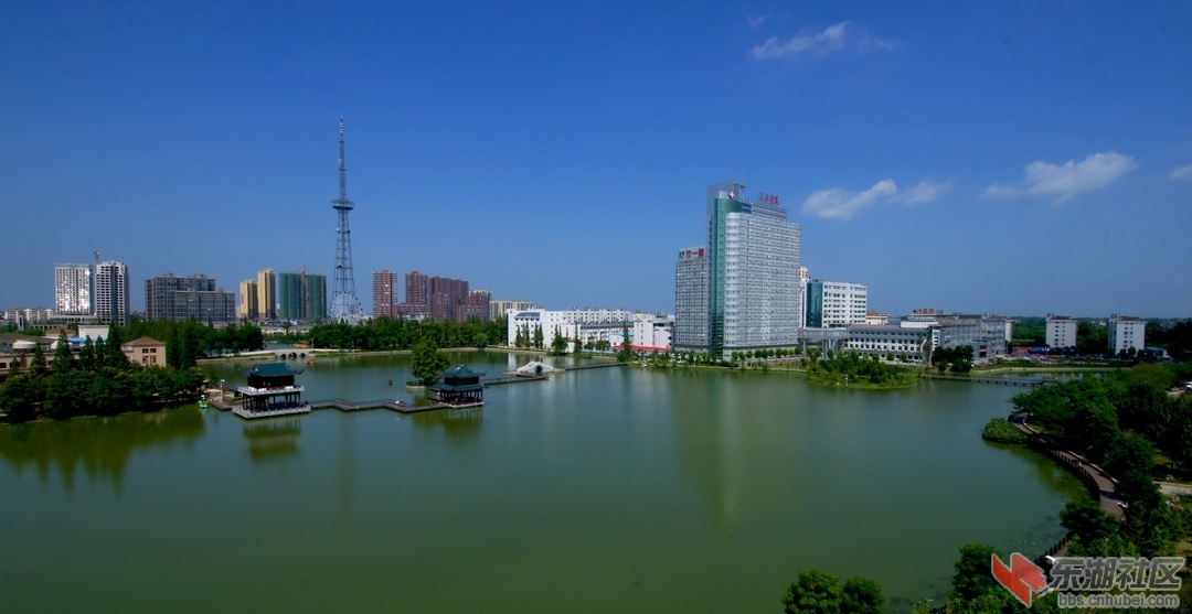 汪新琦07242.jpg