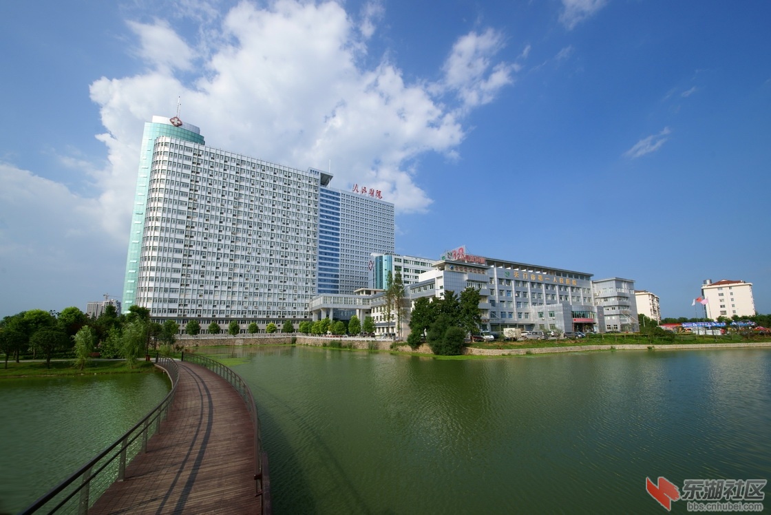 汪新琦07372.jpg