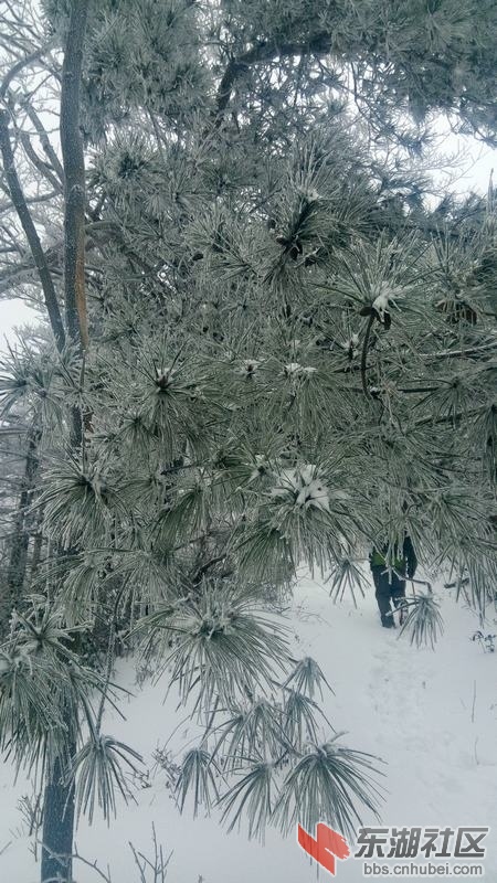IMG_20150129_125628.jpg
