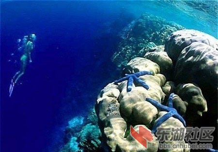 8：密克罗尼西亚.jpg