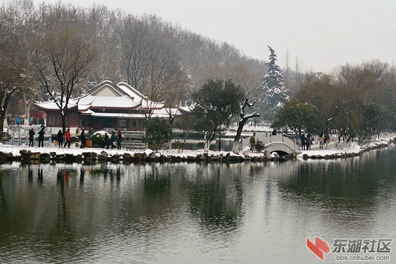 DSC_1786.jpg
