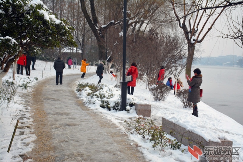 DSC_1804.jpg