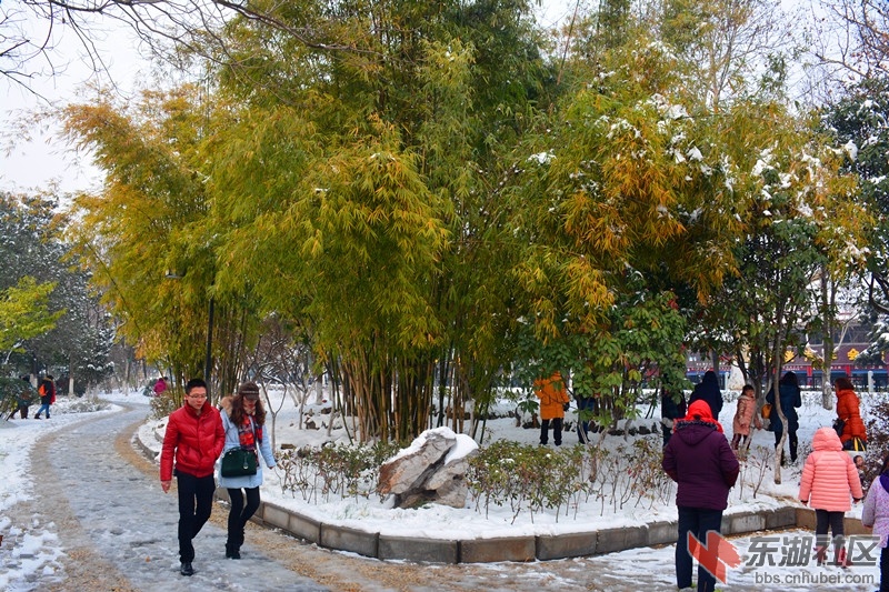 DSC_1819.jpg