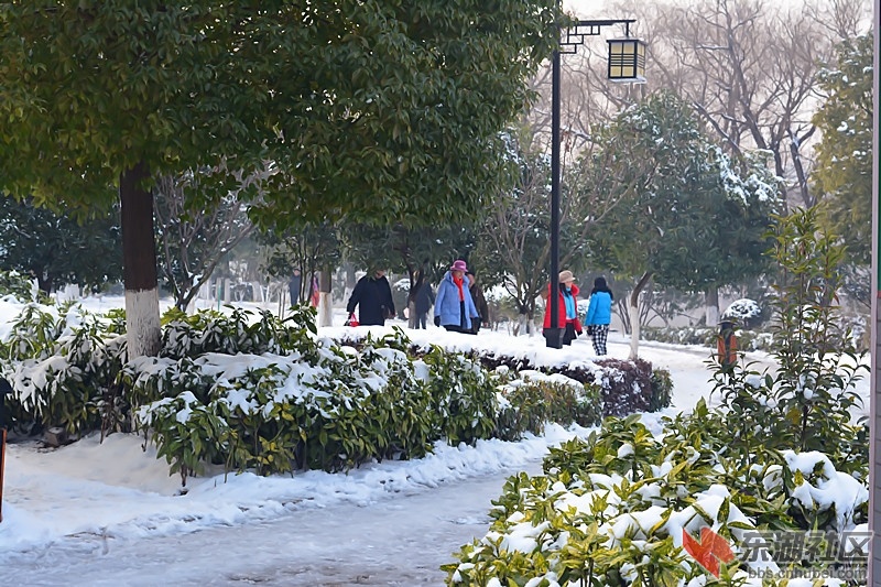 DSC_1920.jpg