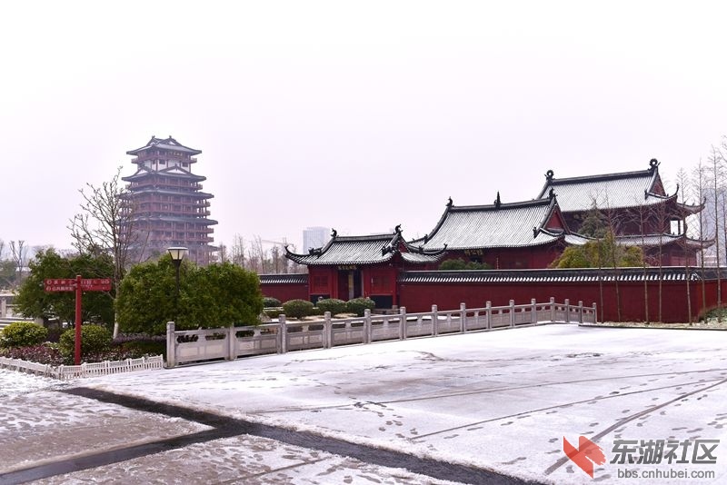 DSC_1209_副本.jpg