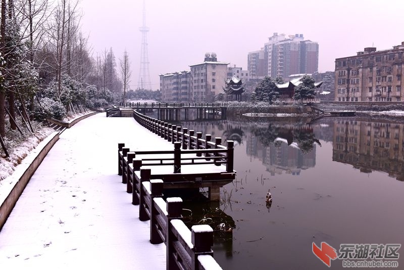 DSC_1236_副本.jpg