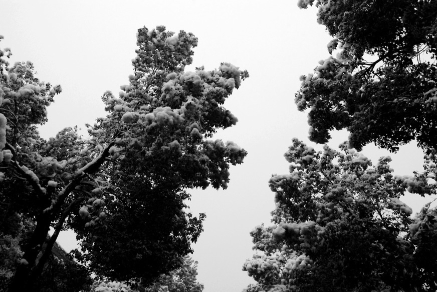 DSC_8.JPG