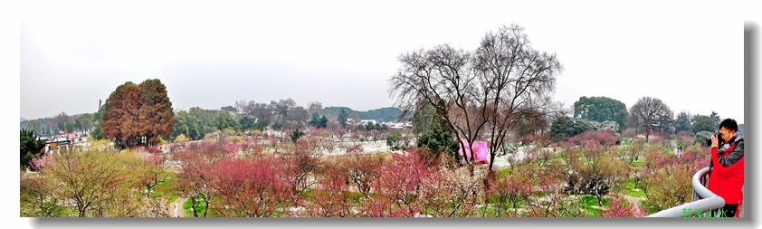 未标题_全景图1 (2).jpg