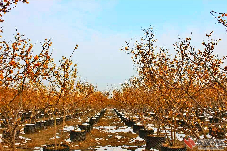 psb_meitu_7.jpg