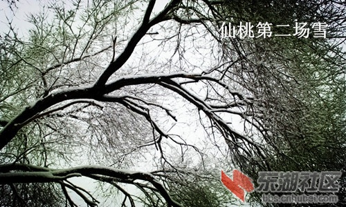 225839miq4bbtha3wswrpb_副本_副本.jpg