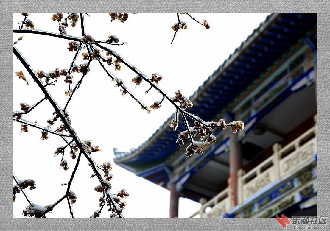 QQ图片20150203082926.jpg